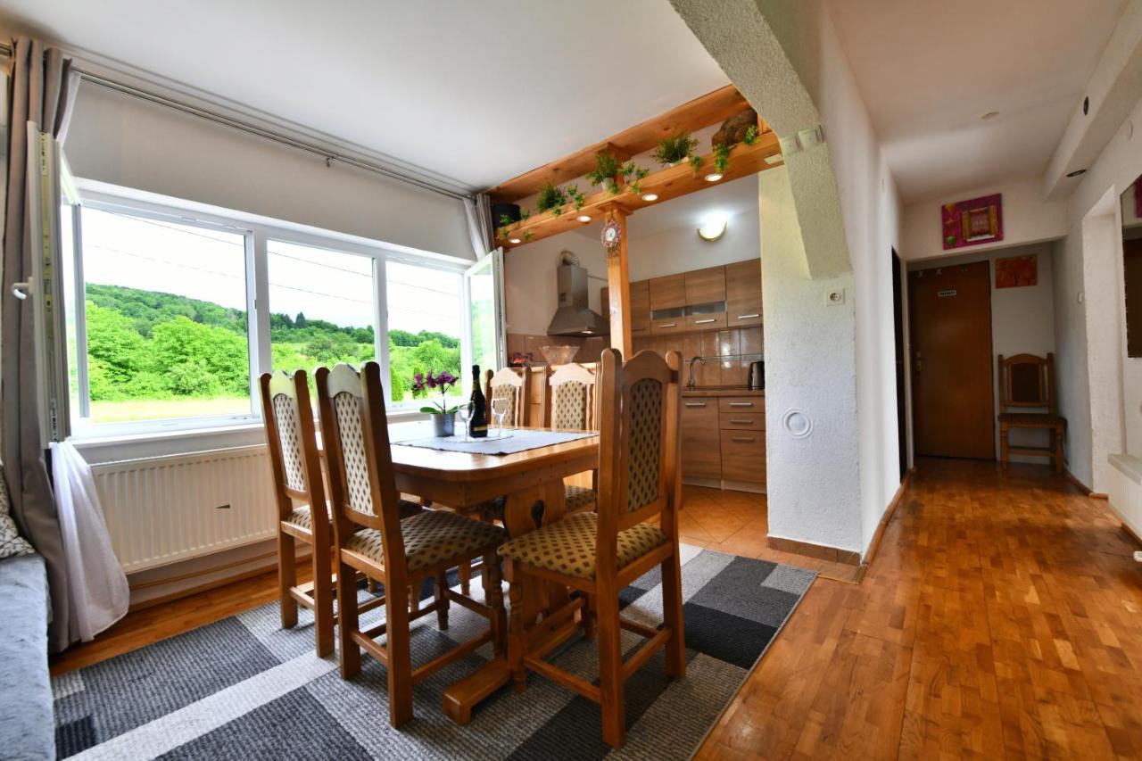 Apartment Marija Zupan Rakovica Eksteriør billede