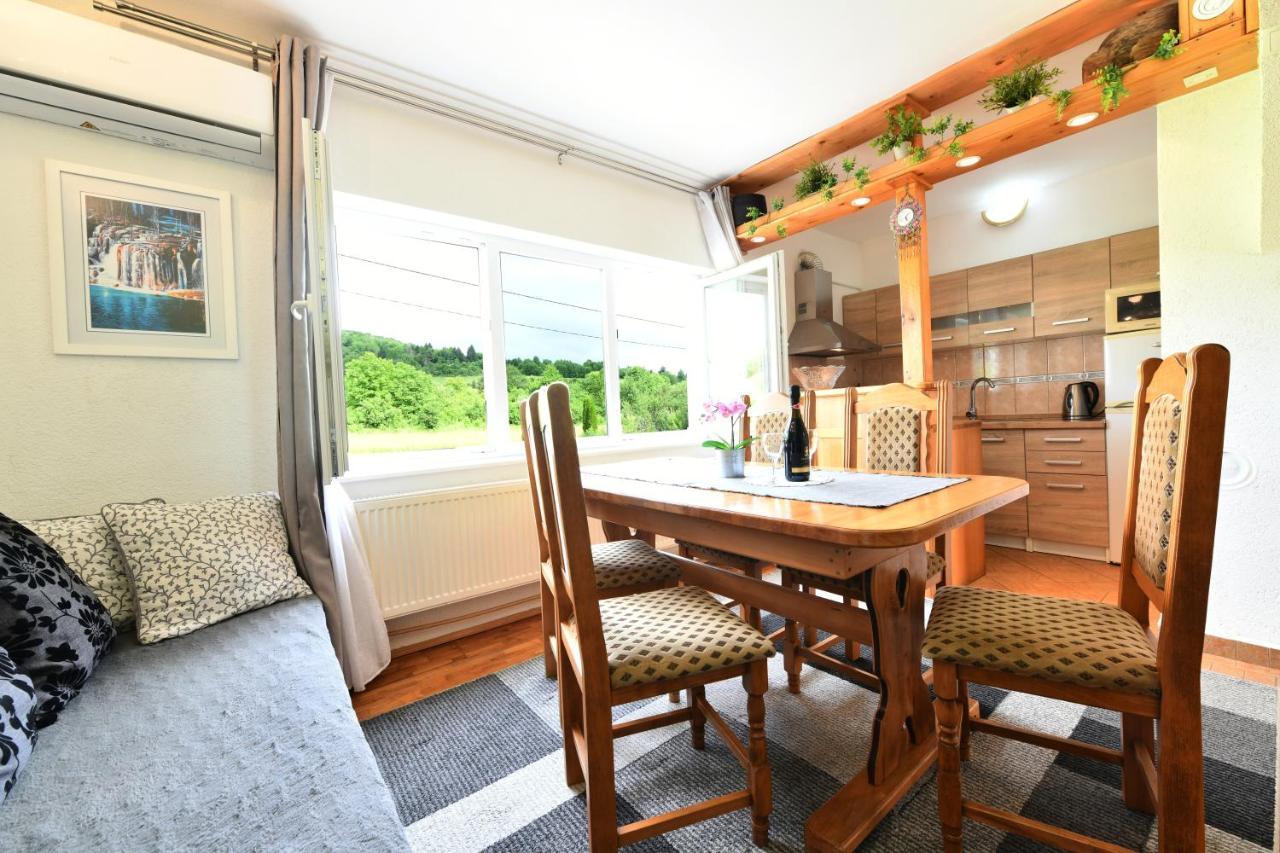 Apartment Marija Zupan Rakovica Eksteriør billede